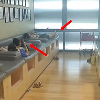 ̫ˣŰռĳ̳ĸӤң̨ˢֻ