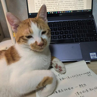 è��̫ճ������ô�죿 ���Ƿ�������