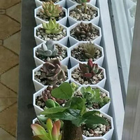 20��������һ�Ѷ��⣬����೤���һ��