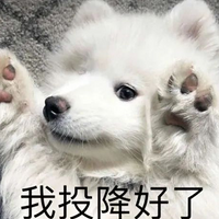 ΪӾꣿû