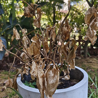 ���ڽ����ˣ��뿴�������ֵĻ����ݲ�