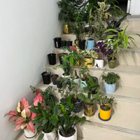 44�ȵ��������ȥ�ˣ���ȫ��������