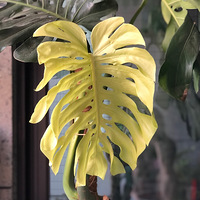 �ڼҾ�ϲ��ŪŪ�����ݲ�