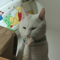 �Ž�̫�ó��˰�