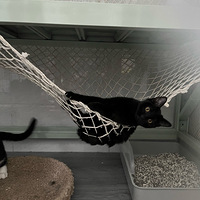 ԭ������������Сè��