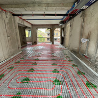 �ڱ���������ʮ�꣬���������ѵ�ů��������