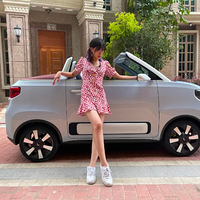 ȫᣡ⳨Mini