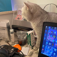 �ӼҰ칫���Ŀ����������־���è