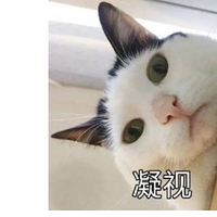 4ǣ͸ʮ꣬ȫҽĻȫ