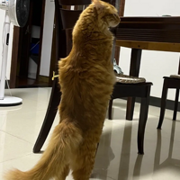 ��վ�����Ҿ���־�֢������