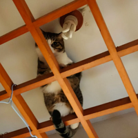 ÿ��һ���۾Ϳ��������Ϸ�����