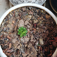 ����������Ǽҿ��˼�������