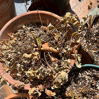 ��֪��ҿ�������̨�ͻ�԰���ɻ���