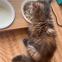 �������ܵ������͵ĺ�