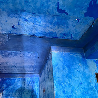 �²��������ַ���Ѫ��