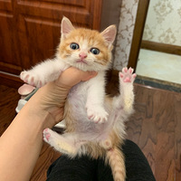 5�����µ��ٵܵ�������