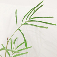 ��������Ҷ����� ������ֲ�Ƽ��Ƽ�