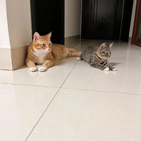 �������츸��ĸ�����ֵܣ�����֤�ݣ�