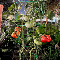 ���������ջ��ˣ��޴�