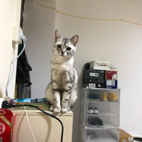 ������ ���ڱ�Ư���� ��ĸ����ĺ���ο