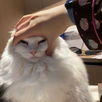 ����÷������ҳԽ��ӻ���Ū��