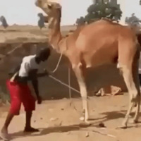 ˣ׬׷