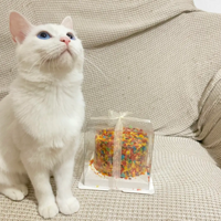 �ݺݷ�����һ��