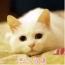 ȫѰ~ȡǰͿ±Угˣ