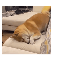 ѱأƭˣ
