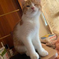 ���è����ҧ�ң���������������