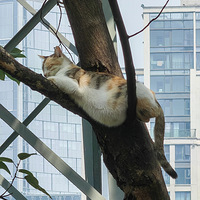 ��ƺ��ɽ�µ����˻��������������ϣ��������ʩ�ȡ�