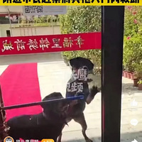 㿪ţȾȺӣ߰СŮֻҧƤ