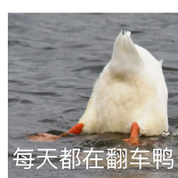 ģ