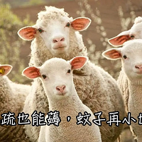 ̵޶ë˶ڻЩȻѣʡǧ
