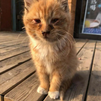 ·�߼��С�ٺú������о�ϲ