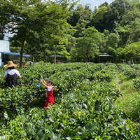 ڡñʵֱ߹ߴޣپҵֱ4Сʱ2