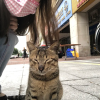 �������Ӱ�ɹ� �����´��۰��۾��򿪹�