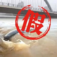 Щ漰̨硰÷ĴԶǼٵģ