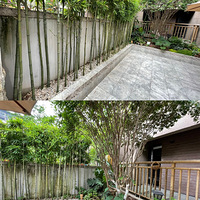 ���ڰѵ����޺þͿ����ߵĻ�԰�����������ϲ�������ӣ�