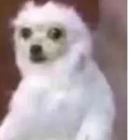 ˭˵ƹϣϢ...