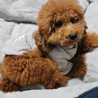 �ɶ���ְһ���С��