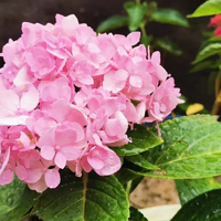 �������ڿ����ˣ���Ȼֻ��һ�䣬����Ҳ�ÿ��İ���