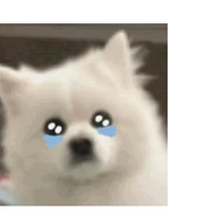 ¹Ϲͮ飬ĺճ