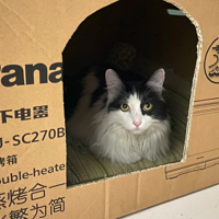 ë������ϲ���¾��ˣ�Ŀ����������ҪΪ����Ѵ�ܡ�����