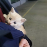 �κ���û����ճ�˱����Ҷ�������