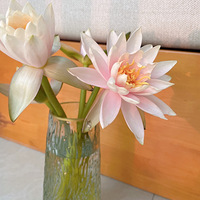 ���ɻ�����