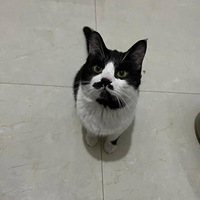 �к��ӵ�С���� ���� ��ĺù԰����� �Һ�ϲ������������