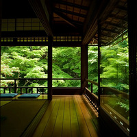 ��ʽͥԺ  ������Ȼ���̺�����