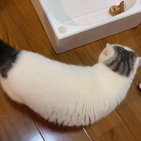 ���ĺ�������ĺ��룬�ҿ�һ��Цһ��