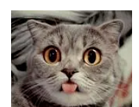 ɨسźΪӮң˸ȷĸʱ